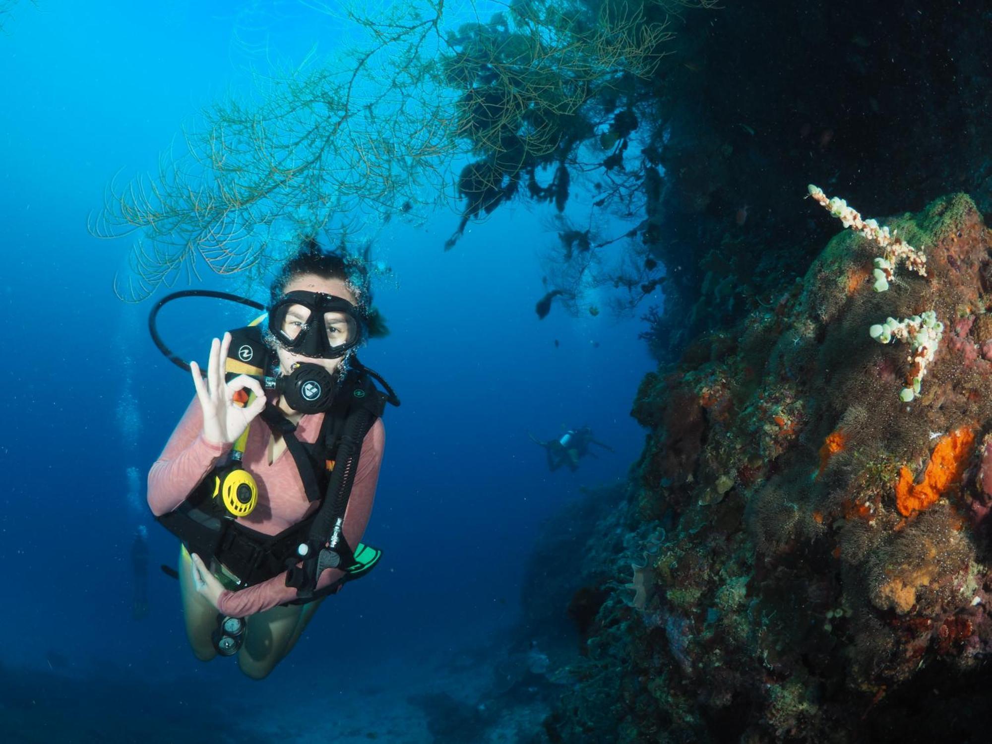 Liberty'S Lodge And Diving - Apo Island Dumaguete City Eksteriør billede