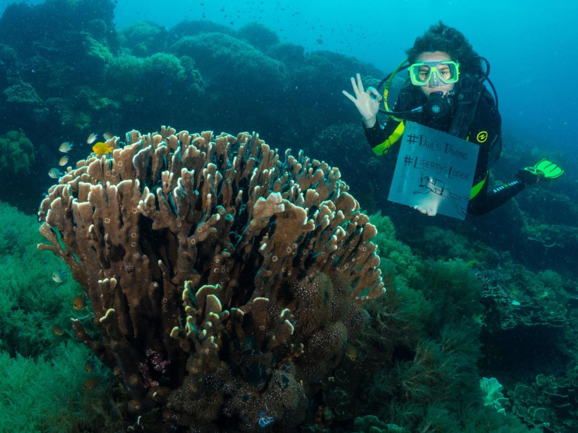 Liberty'S Lodge And Diving - Apo Island Dumaguete City Eksteriør billede
